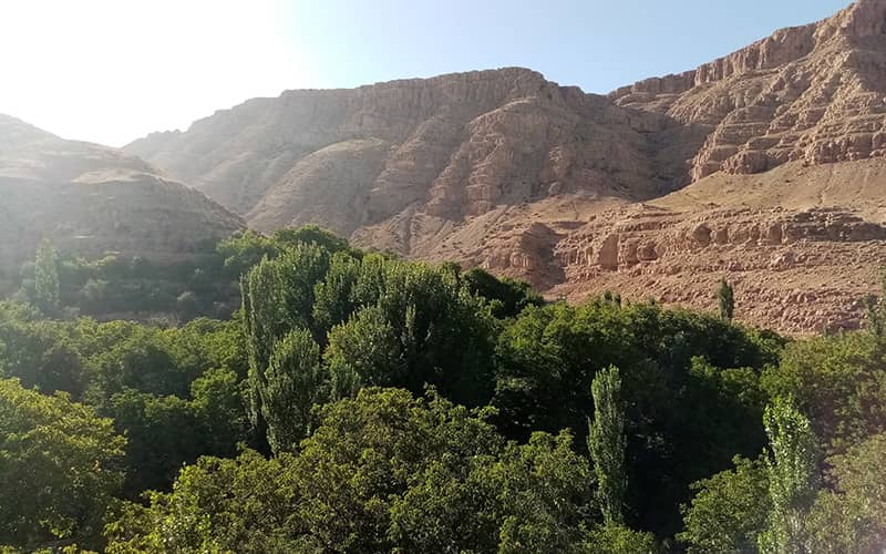منطقه ای سرسبز و پر از درخت در کنار کوهستان در روستای اسفیدان