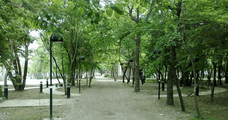 درختان پارک جنگلی طاهباز محمودآباد 