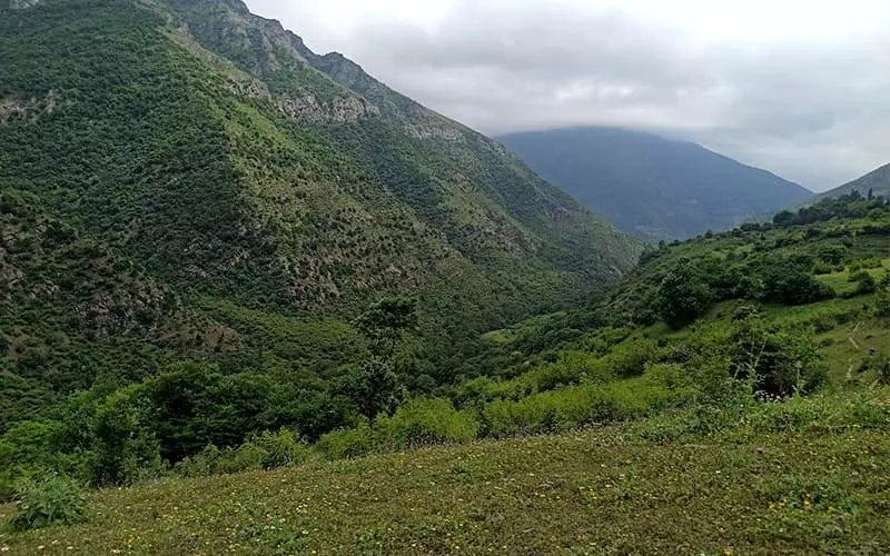 کوهستانی سرسبز در روستای کلاک مرزن آباد