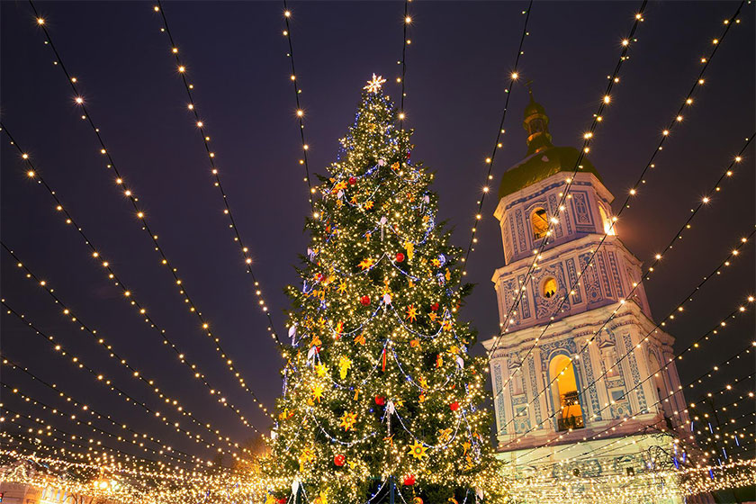دانستنی‌های جالب درباره درخت کریسمس + تاریخچه و علت تزیین 
