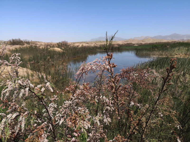 آبشخور منطقه حفاظت‌شده بهرام‌گور