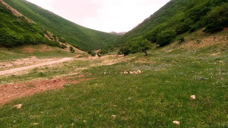 طبیعت روستای اندبیل