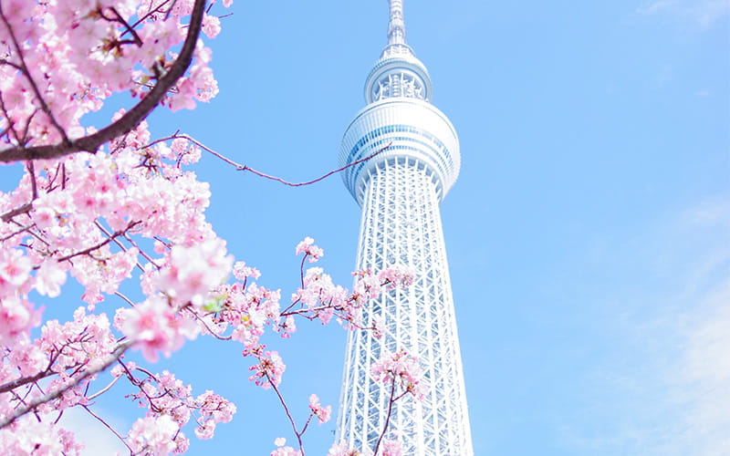 برجی سفید و مرتفع در ژاپن