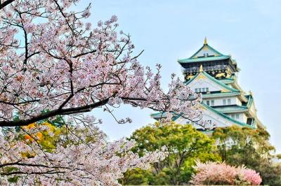 عکس های دیدنی از ژاپن، سرزمین شکوفه های گیلاس 