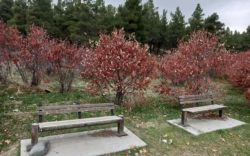 پارک های تهران برای پیک نیک