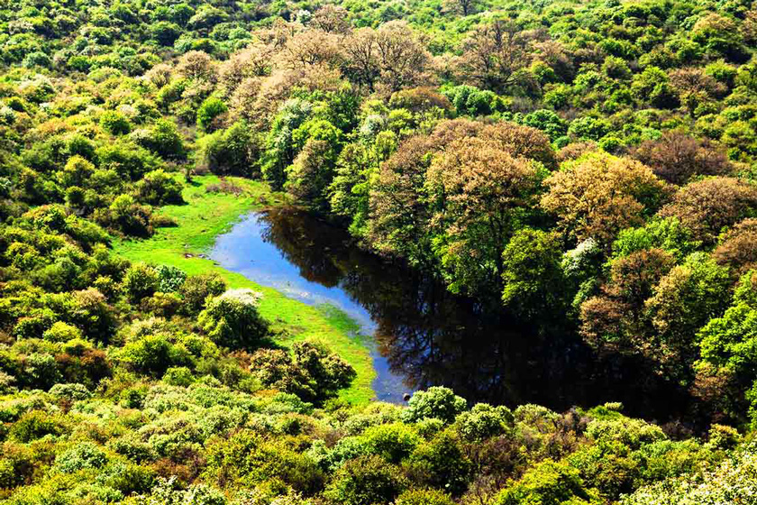 صدور سند پارک ملی گلستان به نام سازمان حفاظت از محیط زیست