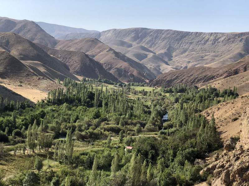 طبیعت اطراف فیروزکوه با درختان سبز بلند از نمای دور
