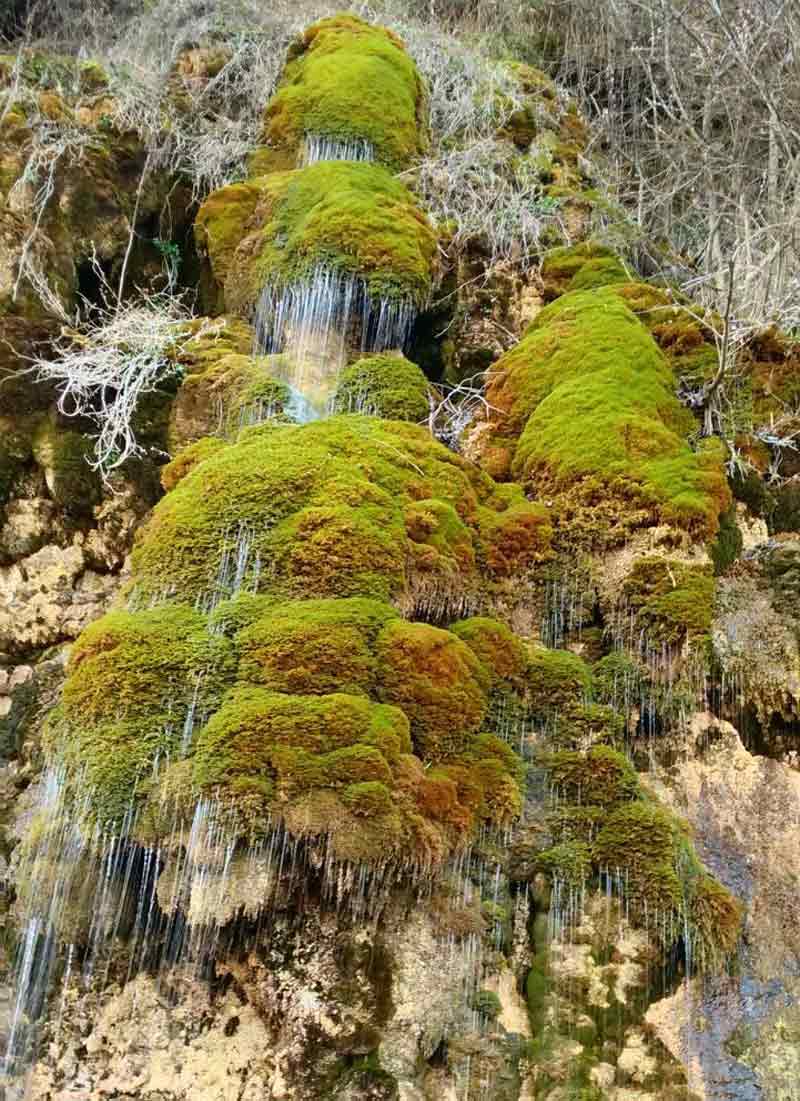 آبشار حرام او در چمستان روی تپه های جلبکی