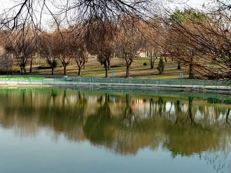 دریاچه ای در پارک