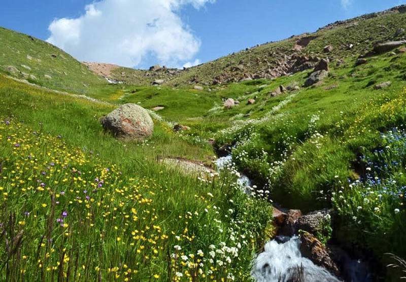 طبیعت زیبا در روستای آلوارس اردبیل