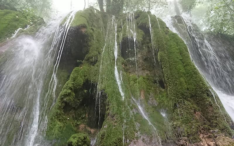 جریان آبشار از روی صخره ای خزه دار
