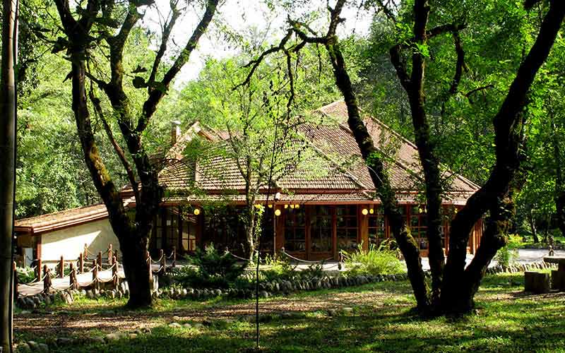 رستوران و اقامتگاه در پارک جنگلی چالدره میان درختان سرسبز