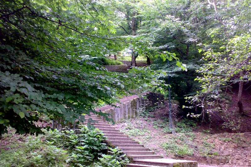 مسیر پلکانی داخل پارک جنگلی کشپل