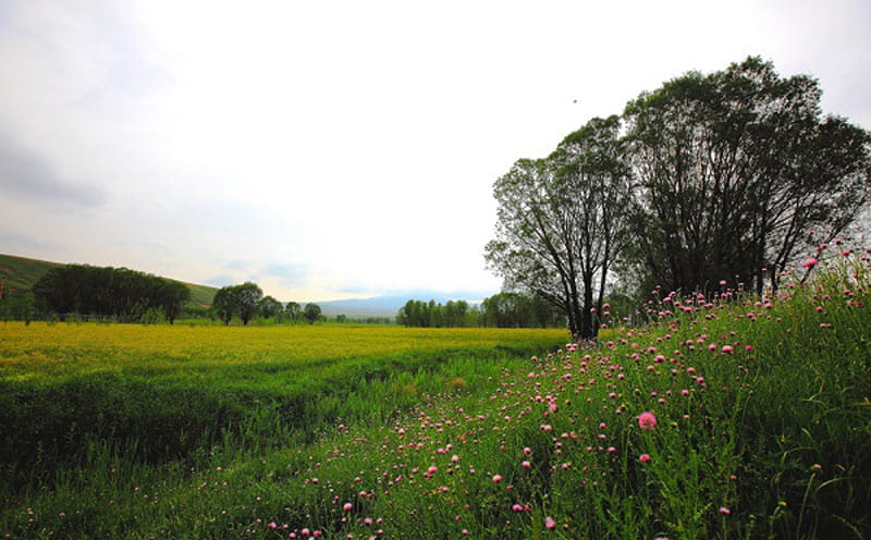 گردشگاه بولاغلار در فصل بهار پر از شکوفه
