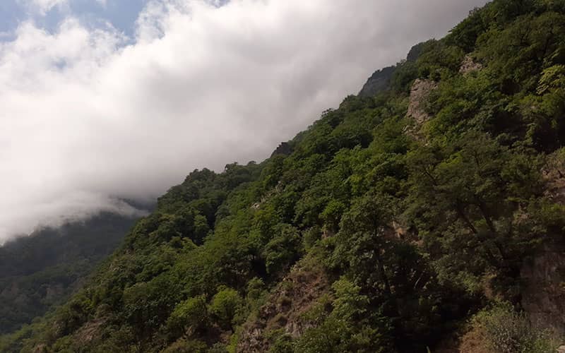 توده ابری در کنار جنگل کوهستانی