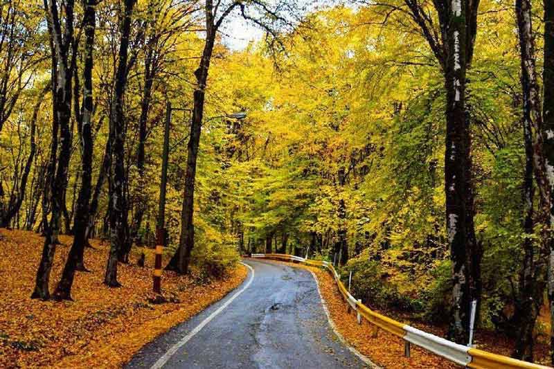 مسیر جاده جنگل النگدره در پاییز