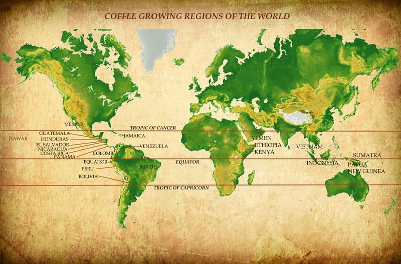 بهترین تولیدکنندگان قهوه