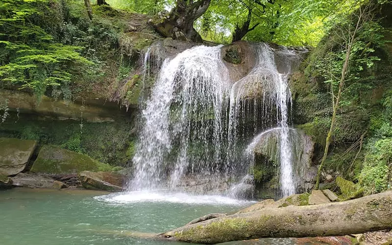 آبشاری پرآب در دل جنگل