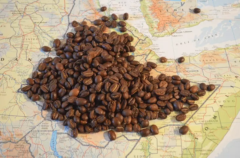 تاریخچه قهوه در آمریکا