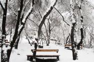 زمستان در پارک وکیل آباد