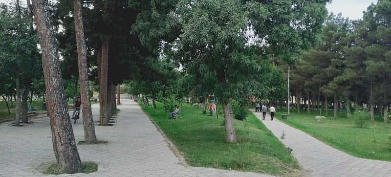 پارک کاج پارس آباد اردبیل