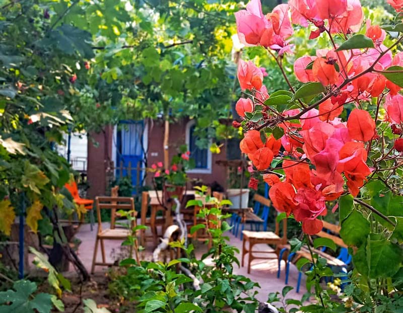 یز و صندلی چوبی با گل های صورتی در حیاط اقامتگاه بومگردی آنیل جلفا