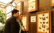 بازدید از موزه باغ پروانه