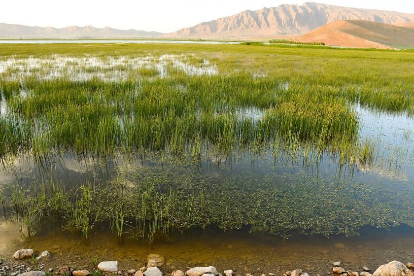مشهورترین تالاب‌ های ایران؛ گنجینه‌ های طبیعی مظلوم و در خطر