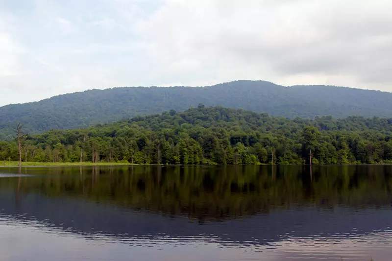 دورنمای جنگل از دریاچه الندان