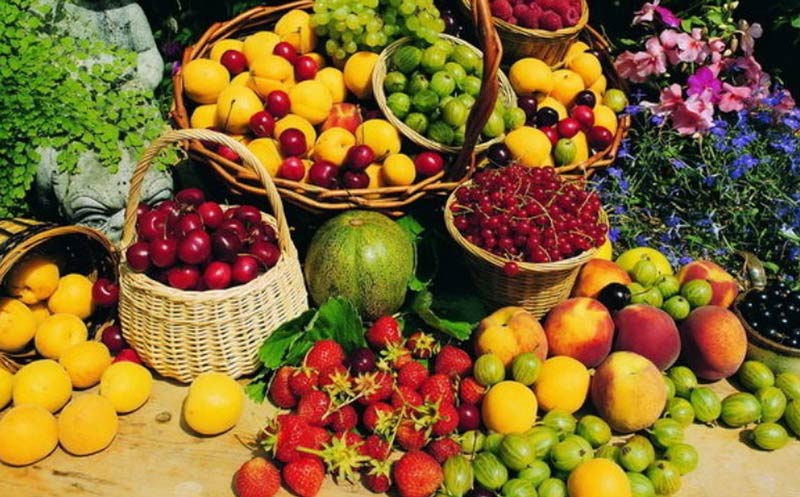 سبد میوه‌ های رنگارنگ