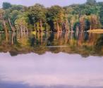 انعکاس تصویر درختان در آب دریاچه پله ازنی