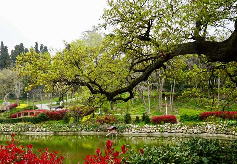 طبیعت زیبای پارک ییلدیز استانبول در بهار