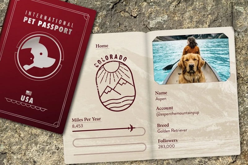 پاسپورت حیوانات برای حمل با هواپیما
