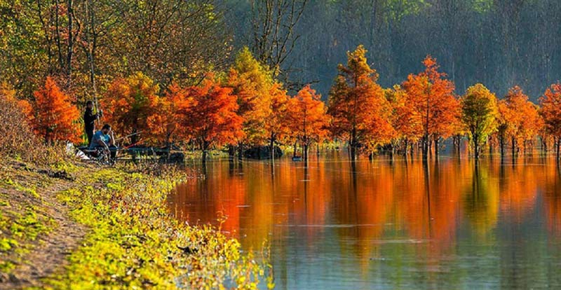 پاییز در دریاچه الندان