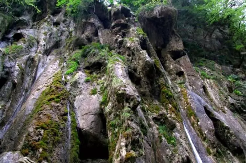 آبشار خزه‌ای باران کوه