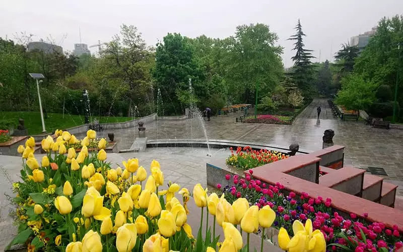 گل های لاله رنگی در پارک ملت