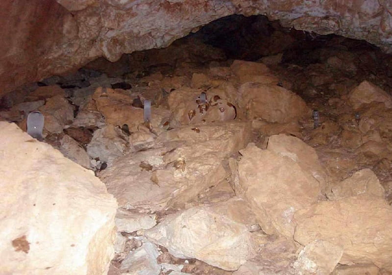 پیمایش غار عمودی پراو