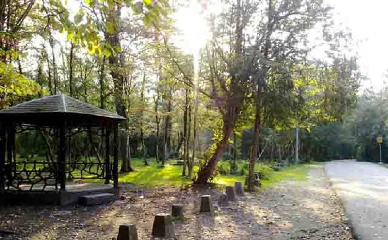 پارک جنگلی شیان