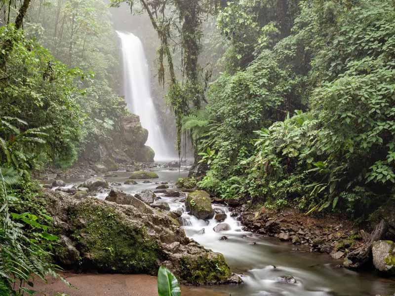 آبشار لاپاز کاستاریکا