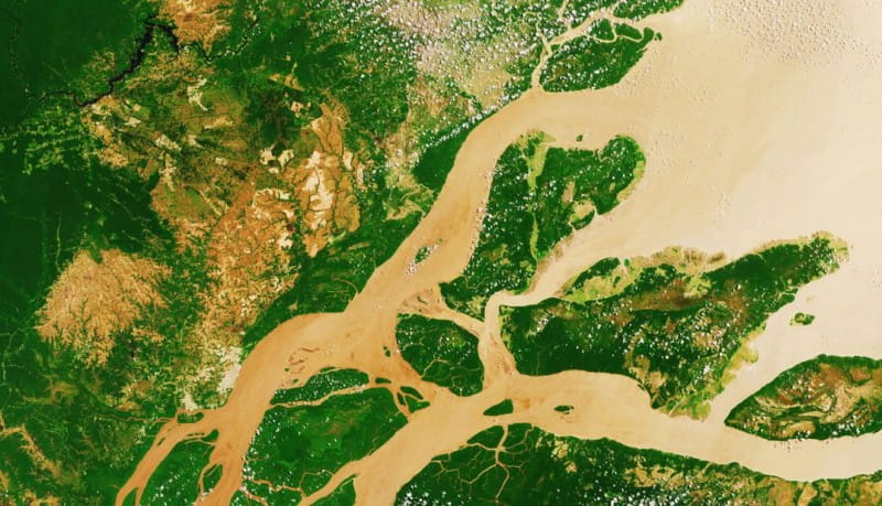 دلتای رود آمازون