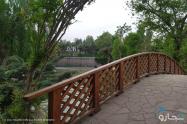 پل چوبی بالای دریاچه مصنوعی باغ گل های چمران کرج