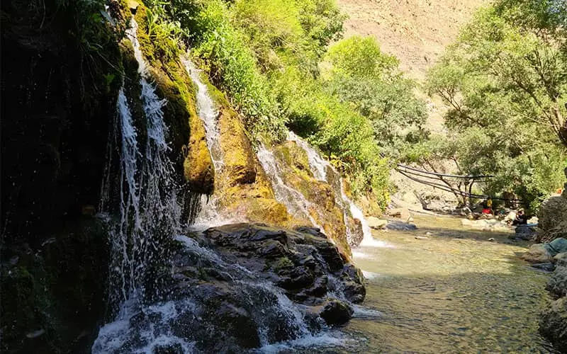 جریان آب آبشار از صخره ای بزرگ و سرسبز