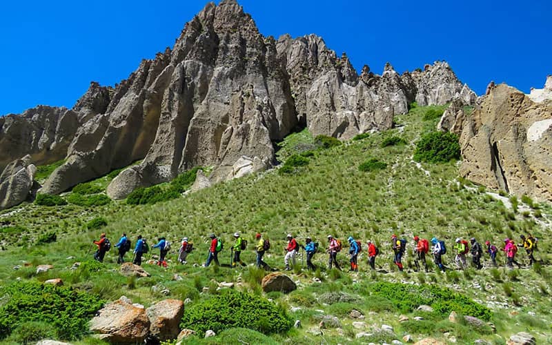 تعدادی کوهنورد در حال پیمایش مسیری سرسبز در کوهستان