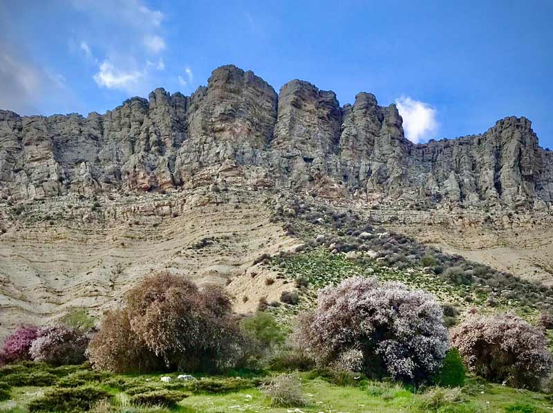 نمایی از طبیعت زیبای ایلام در دامنه های کوه مانشت