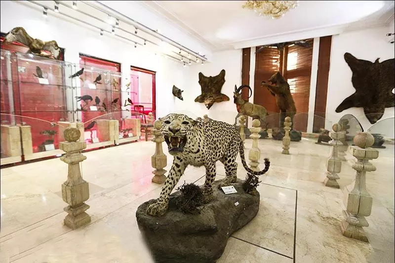 موزه حیات وحش دارآباد