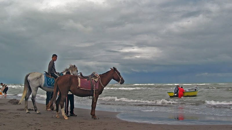 اسب سواری در ساحل چمخاله