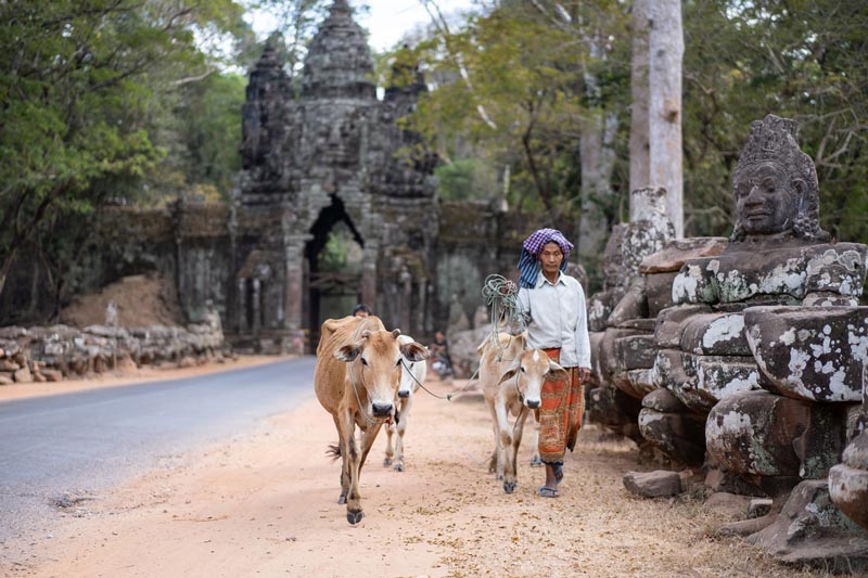 چشم‌اندازی از کامبوج