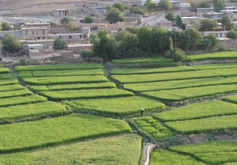 زمین های کشاورزی سیروان در جوار روستای سراب کلان