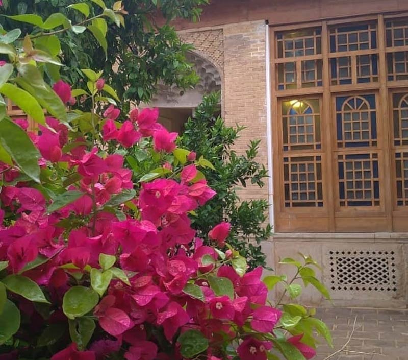 گل های صورتی مقابل پنجره های خانه نصیرالملک شیراز