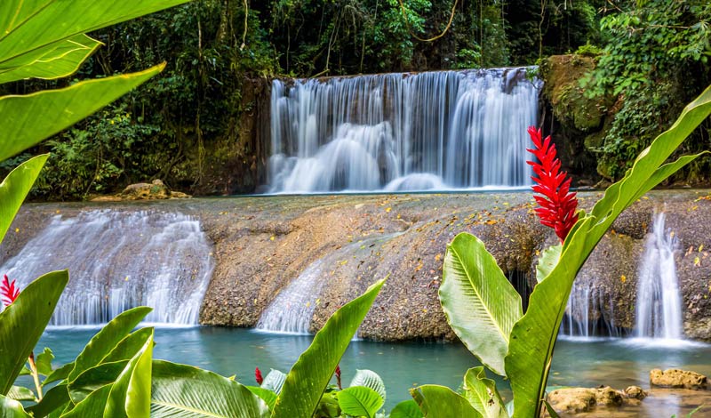 آبشار می‌فیلد جامائیکا